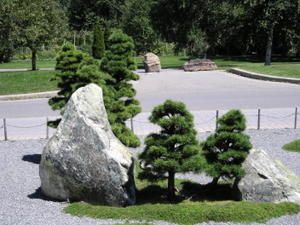 Jardin japonais miniature Jardin japonais miniature