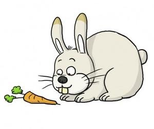 Les meilleures prises de son - Page 3 Lapin-carotte