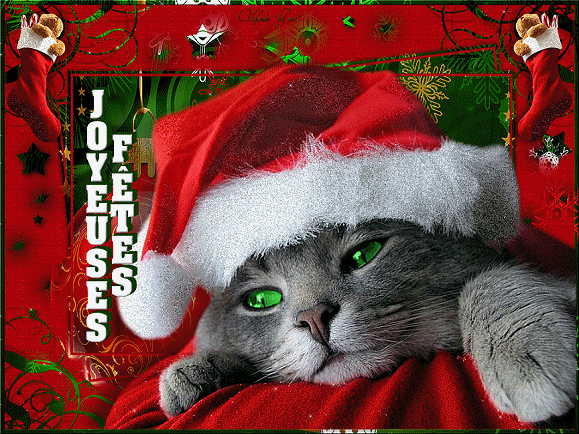 597-CADEAU10-PAPIER-CHAT-NOEL-JOYEUSES-FETES.gif